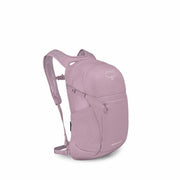 Iris Pink